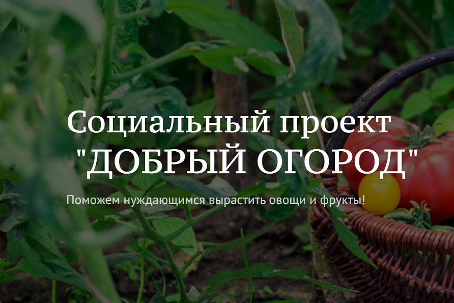Социальный проект "Добрый огород"